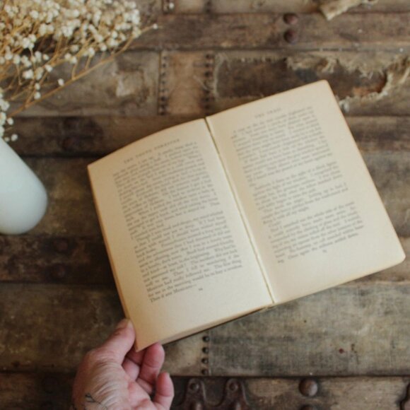 Vintage 1910s Book, "The Young Forester" by Zane Grey, Grosset and Dunlap Editio - Picture 9 of 10